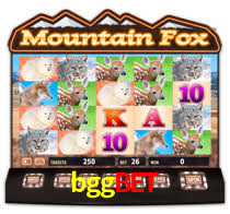 bggbet: A Experiência de Casino com Jogos de Mesa ao Vivo